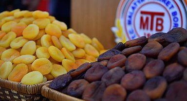 Kayısı ihracatı hız kesmiyor