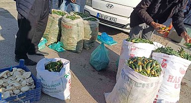 Malazgirtli vatandaşlar şifalı bitkileri satarak geçimlerini sağlıyor