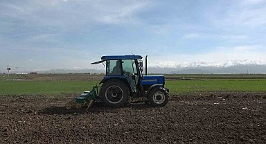 Muş Ovası'nda 635 bin ton şeker pancarı üretimi hedefleniyor