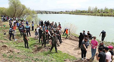 Muş'ta 270 çam ağacı toprakla buluşturuldu