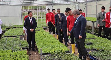 Okul bahçesindeki serada organik sebzeler yetiştiriyor