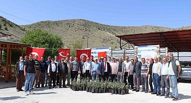 Oltu'da çiftçiye 1300 zeytin fidanı