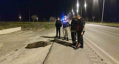 Otomobilin çarptığı domuz telef oldu