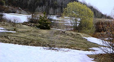 Posof'ta dört mevsim yaşanıyor