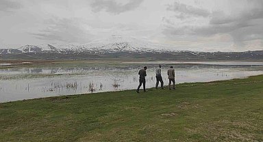 Sarısu Ovası'nın karlı Süphan Dağı'yla kartpostallık görüntüsü