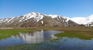 Tatvan'da tarım arazileri suya gömüldü