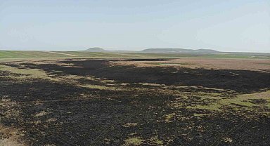 Türkiye'nin 13. Ramsar alanıydı çöle döndü