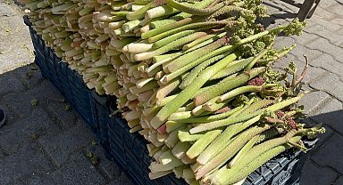 Uçkun tezgahlardaki yerini aldı