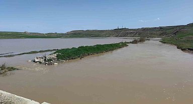 Van Gölü'ne dökülen Karasu Çayı eski günlerine kavuştu