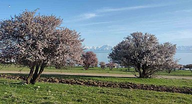 Van'da iki mevsim bir arada