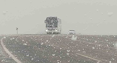 Van'ın yüksek kesimlerinde nisan karı etkili oldu