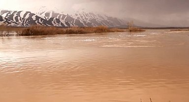 Yağışlar sonrası Yüksekova'nın ovası göle döndü