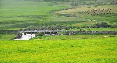 Yem bitkileri destekleme süreci başladı