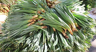 Yılda 2 ay hasadı yapılan 'çiriş otu' tezgahtaki yerini aldı