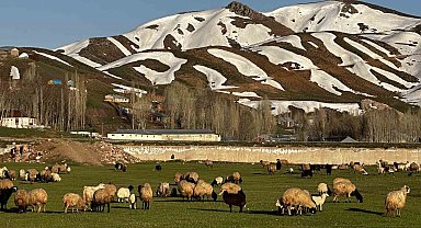 Yüksekova'da Afrika'yı aratmayan görüntüler