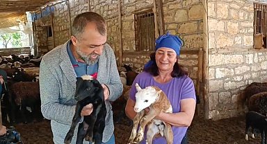 10 koyunla başladı, şimdi kendi işinin patronu oldu