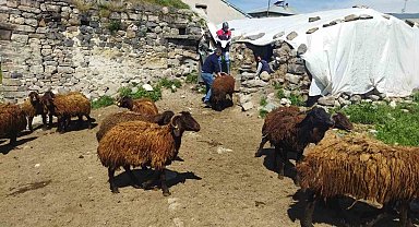 Ağrı'da çiftçilere hibe desteği