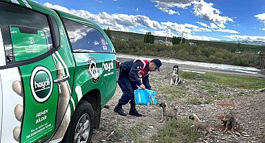 Ağrı'da sokak hayvanları unutulmadı