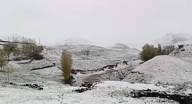 Ağrı'nın yüksek kesimleri yağan karla beyaza büründü