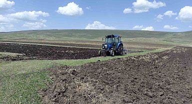Ardahan'da ata tohumu buğday ve arpa tohumları toprakla buluşturuluyor