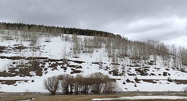 Ardahan'da bahar ve kış bir arada