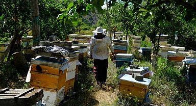 Bal arılarının yayla yolculuğu başladı