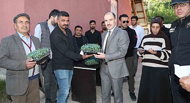 Başkale'de domates fidesi dağıtıldı