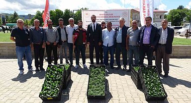 Bingöl'de çiftçiye 390 bin fide dağıtıldı