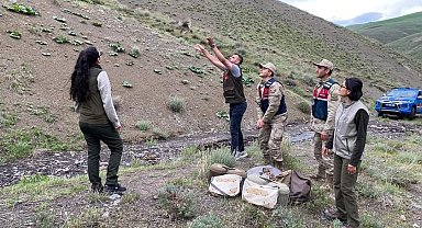Bitlis'te keklik avlayan 2 kişiye 50 bin 824 lira para cezası uygulandı