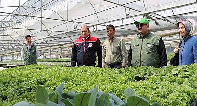 Bölgenin fidesi Erzincan'dan