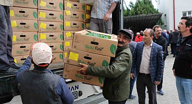 Çiftçilere fide dağıtıldı