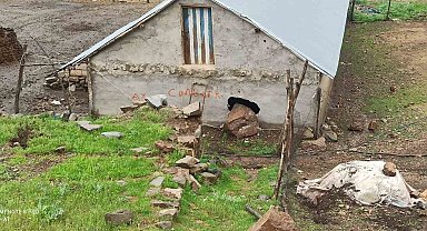 Dağdan kopan kaya parçası ahırın duvarını deldi