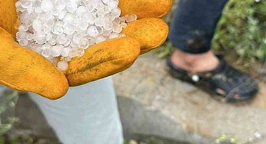 Dolu kayısıyı vurdu, üreticiler tedirgin