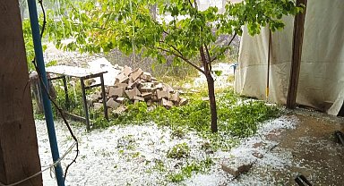 Dolu yağışı kayısıya zarar verdi