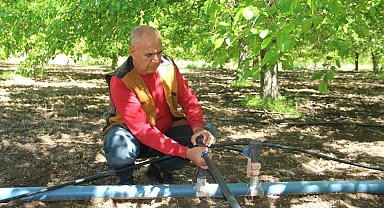 Dut üreticileri yeni sezon için bahçeye indi