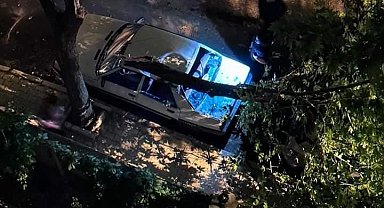 Elazığ'da fırtınanın etkisiyle araçların üzerine ağaç devrildi