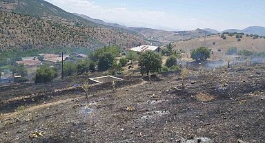 Elazığ'da ot yangını