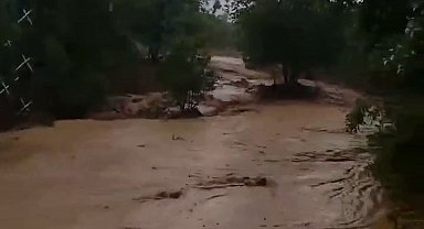 Elazığ'da sağanak yağış etkili oldu: Dereler taştı, tarım arazileri zarar gördü