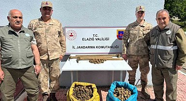 Elazığ'da salep bitkisi toplayan 4 kişiye idari para cezası uygulandı