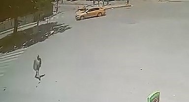 Elazığ'da trafik kazası: 2 yaralı