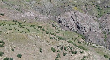 Elazığ'daki kan donduran cinayetin dehşet veren detayları ortaya çıktı