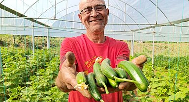 Emekli oldu kendi imkanlarıyla sera kurdu, üretime başladı ama çalıştıracak eleman bulamıyor
