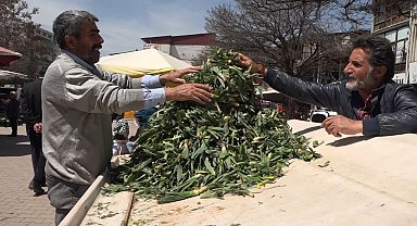 Erciş'te çiriş otu tezgahlardaki yerini aldı