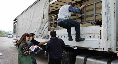 Erzincan'da kurbanlık sevkine sıkı denetim