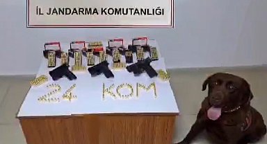 Erzincan'da silah kaçakçısı 1 kişi yakalandı