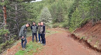 Erzurum Orman Bölge Müdürü Ayatay, Refahiye ormanlarında incelemelerde bulundu