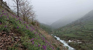 Erzurum'da mayıs ayında kar sürprizi