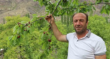 Erzurum'un dağlarında kar, bağlarında kiraz var