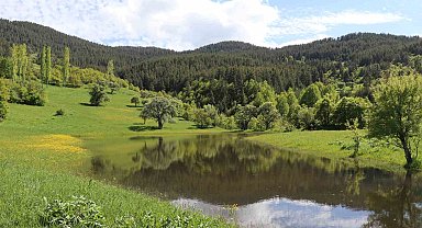 Erzurum'un yaylalarında bahar esintisi