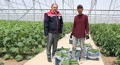 Genç çiftçinin hasat sevinci